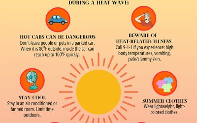 Heat Safety Tips